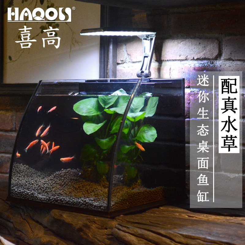小鱼缸办公桌面创意生态小型玻璃迷你客厅造景鱼缸水族箱懒人鱼缸