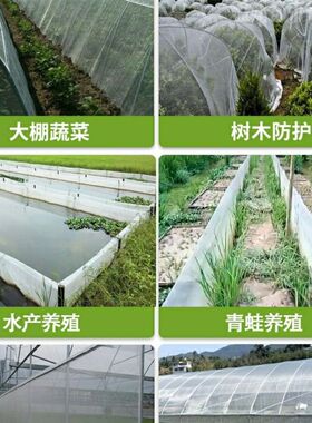 大棚防虫网果树果园网罩蔬菜植y物防护网养猪场防蚊虫网拱棚网加