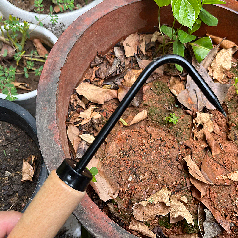 园艺单爪根钩松土工具根s勾园林除草工具盆栽盆景养护取根器拔草