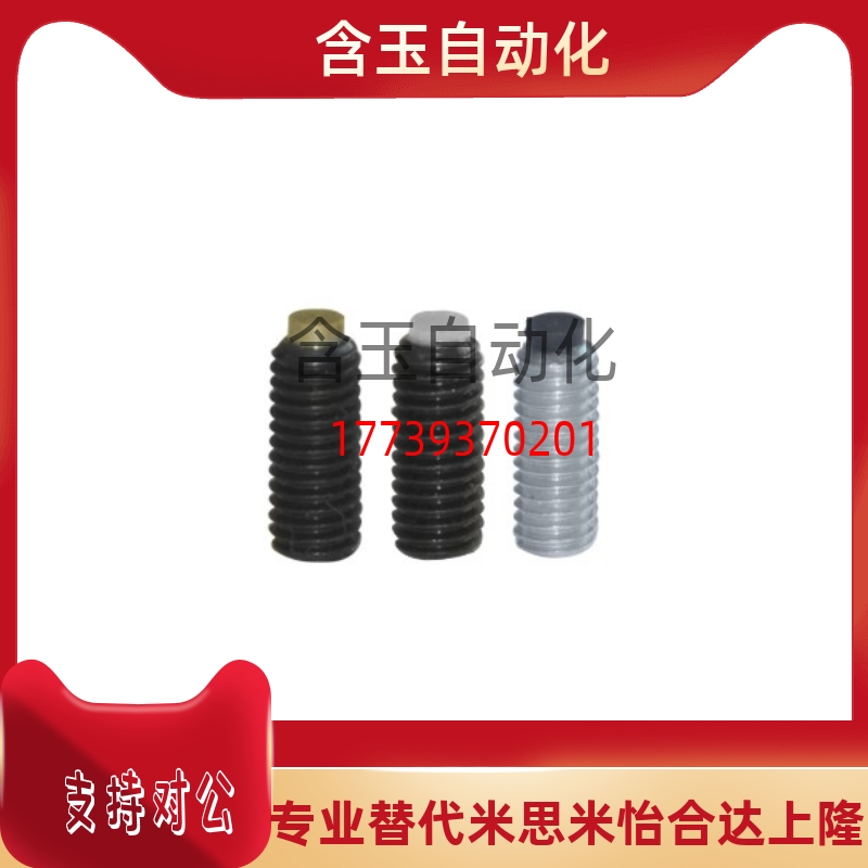 TDA21-M10/M12-L12/L16/L20/L25/L30/L40/L50 挡块止动螺钉 螺栓