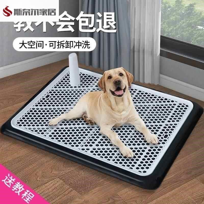 厕所宠物大中型犬狗尿垫固定器训练狗狗上厕所平板便盆尿盆狗,宠物/宠物食品及用品,狗厕所,淘宝优惠券,粉丝福利购,淘宝优惠卷