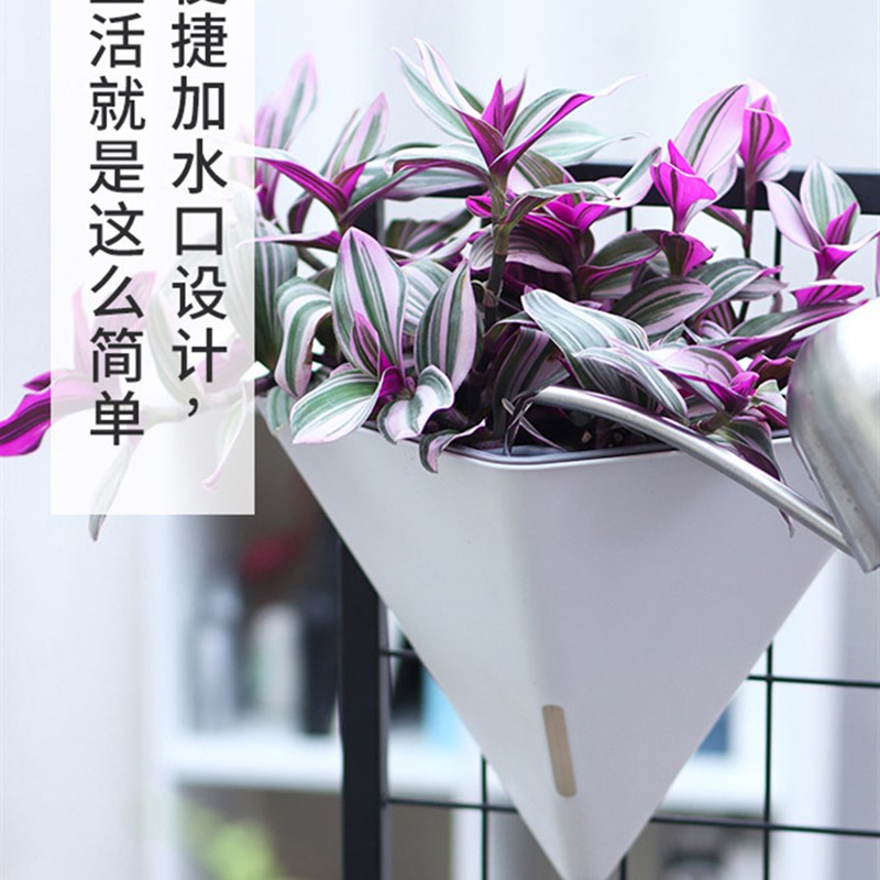壁挂式水培花盆悬挂墙面室内外阳台挂式花盆吊篮绿萝塑料树脂花盆