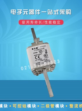 快速熔断器保险丝170M3228 3229 3238 3239 3240 3241 3242 3243