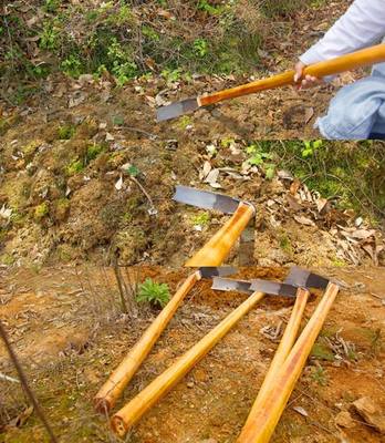 挖冬笋专用锄头0FR24Kop种菜家种专锄地x翻地用农用用工具开沟挖