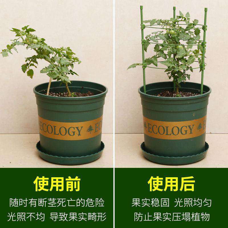 新品花架爬藤架子月季花支架绿萝植物盆J支撑杆铁线莲攀爬园艺客