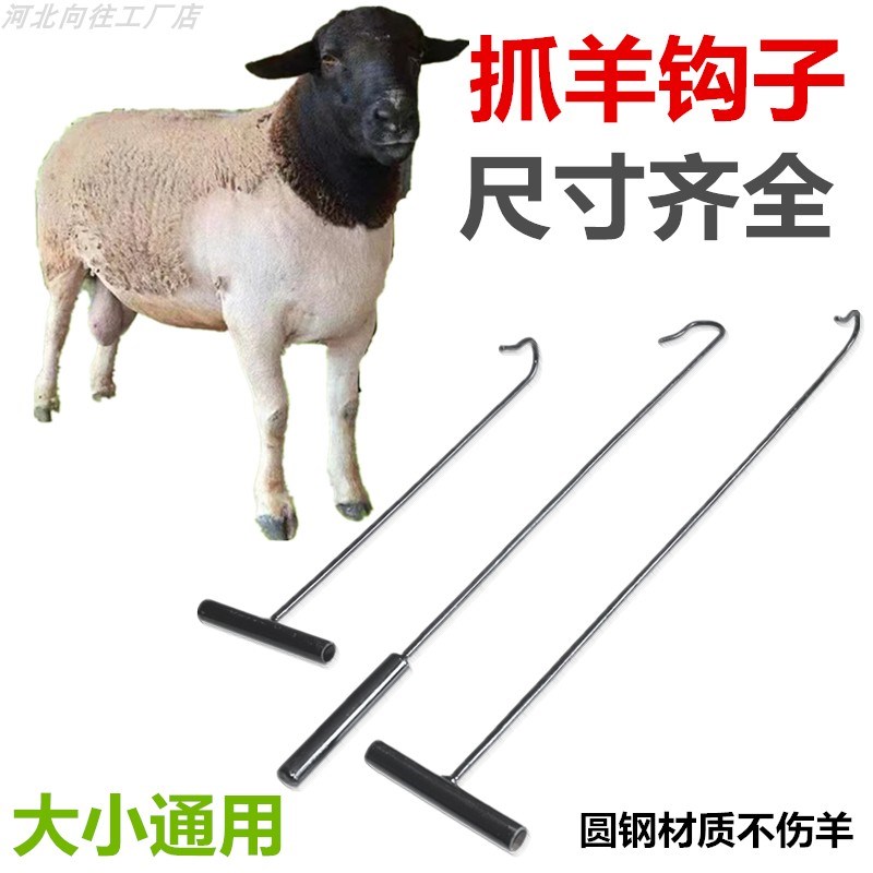 抓羊钩子钢筋捉羊工具逮羊神器加粗杆铁放羊长钩家用养殖羊腿钩子图片