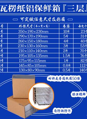 铝箔泡沫b锡纸保温箱快递打包食品冷鲜海鲜专用包装盒现货大量