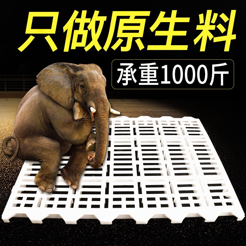 速发塑料漏粪板猪鸡鸭羊用漏粪板养殖场设备实心加厚兽用保育床漏