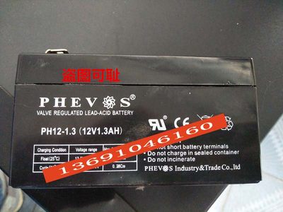 EVOS PH12-1子3 1AV1.32HG 电子设备 仪器仪表 电.秤用蓄