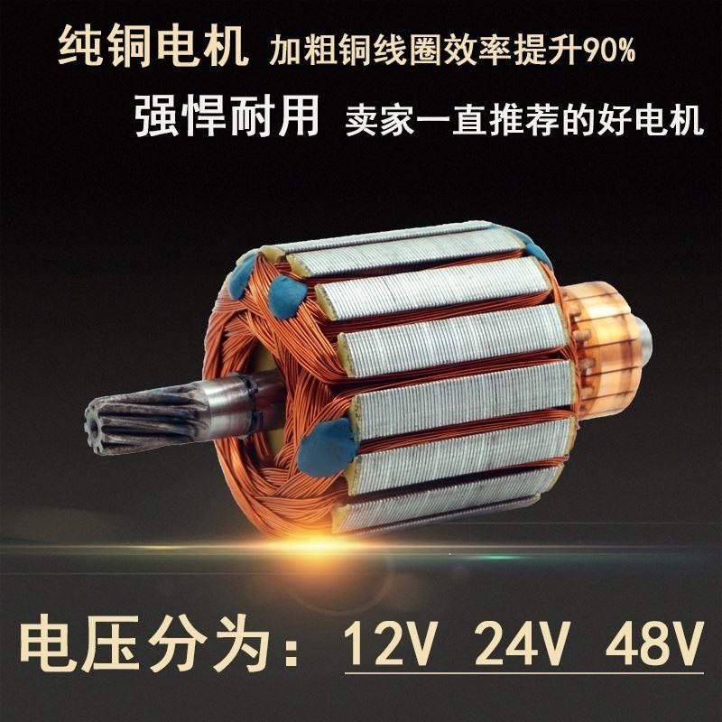 直种减速电机0h2V500W210转改装播流施肥电机肥箱电机大