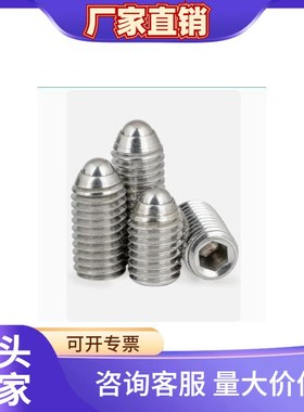 不锈钢加长型轻载型球头柱塞 BSML3/4/5/6/8/10/12 BMSL系列