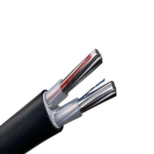 铝线电线户外电缆线2芯4/6/10/16平方地埋室外家用二相三芯架空线