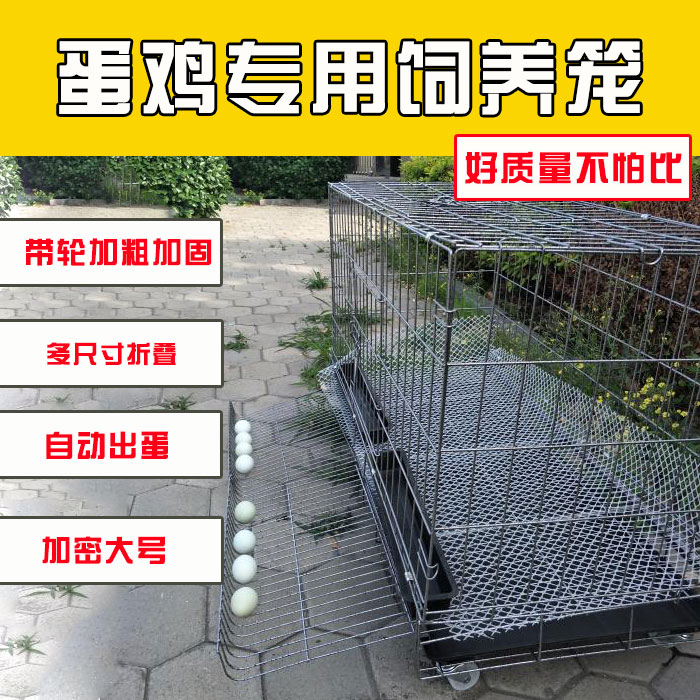 家用自动滚蛋特大号鸡笼鸡舍鸡笼子养殖笼运输加粗鸭笼鹅笼兔笼
