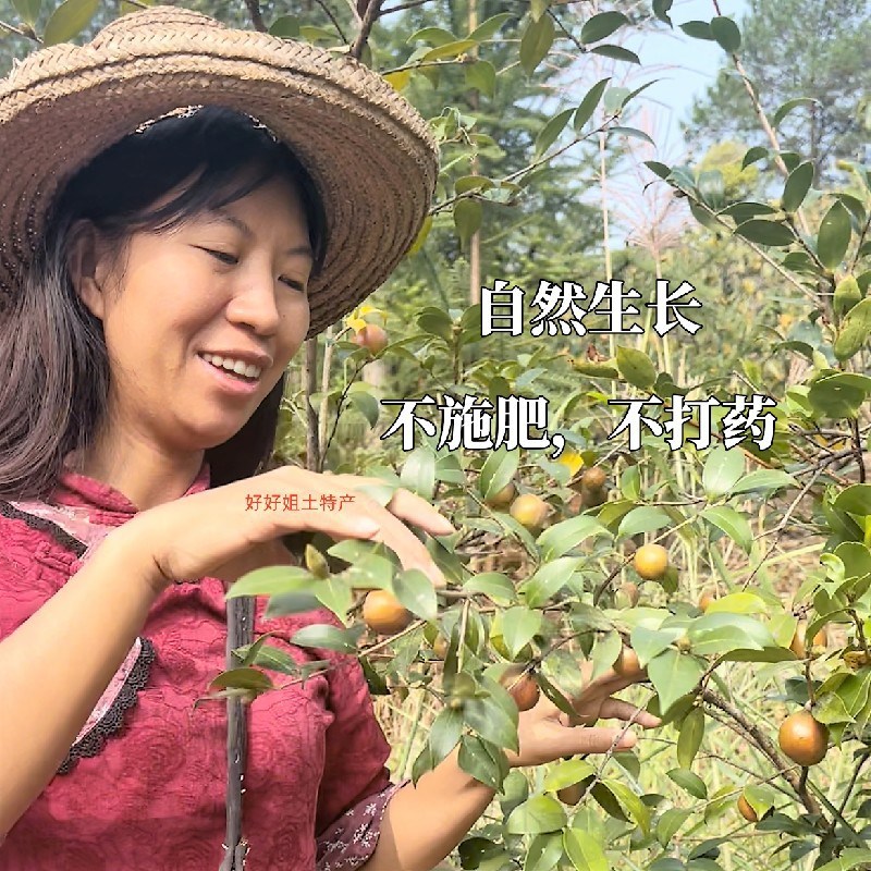 广西大山农家正宗头道茶枯粉茶麸粉家用洗头洗S碗泡脚绿色无添加