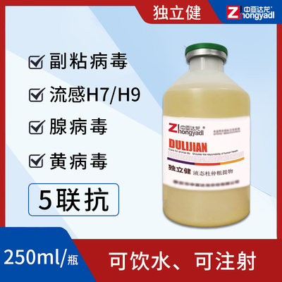 达龙独立健5联抗体防水禽鸭鹅副粘流感H7/H9治腺黄病毒瘫痪扭脖子