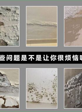 霉碱液返碱克星墙面返潮发霉起碱掉沙抗返碱处理剂修补除碱剂防水