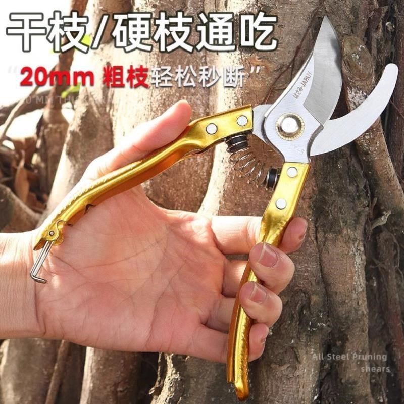 枝条刀剪花椒花木家用花园绿化剪刀果树专用苗园艺花店新款