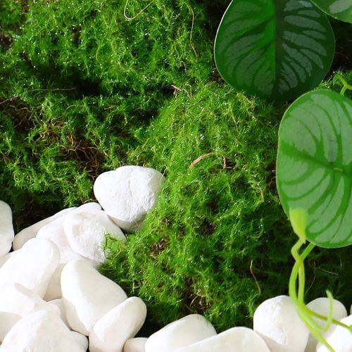 2023新款仿生苔藓草皮高端造景搭配装饰