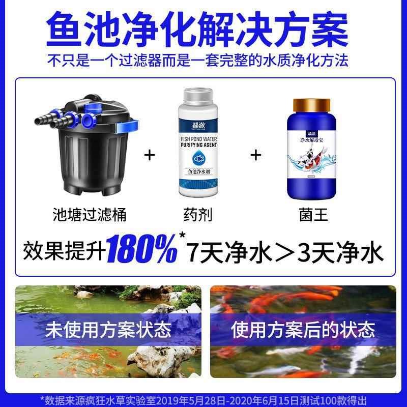 【折扣价】疯狂水草鱼池水循环系统大锦鲤池小型室外户外养鱼水池