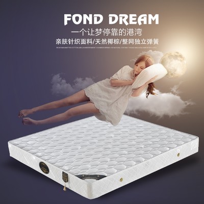 网红SW床垫 进口乳胶床垫1.5米1.8米弹簧椰棕垫软定做席梦思床垫