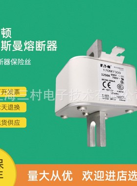 全新原装快速熔断器保险丝170M7250 170M7255 170M7260 170M7309