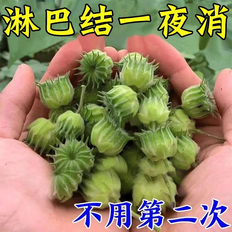工厂销【一抹消淋巴】p淋巴散结膏 疏通颈部腹股硬块红肿大淋巴消