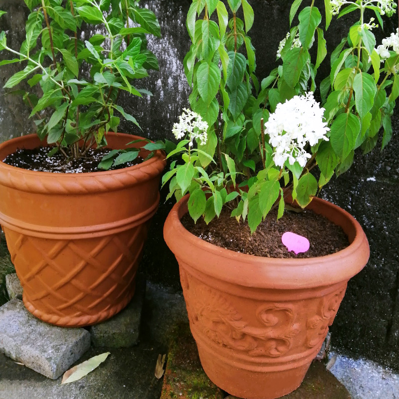 特价包邮大口径红陶花盆户外园林庭院G景观陶瓷陶土罐粗陶落地摆