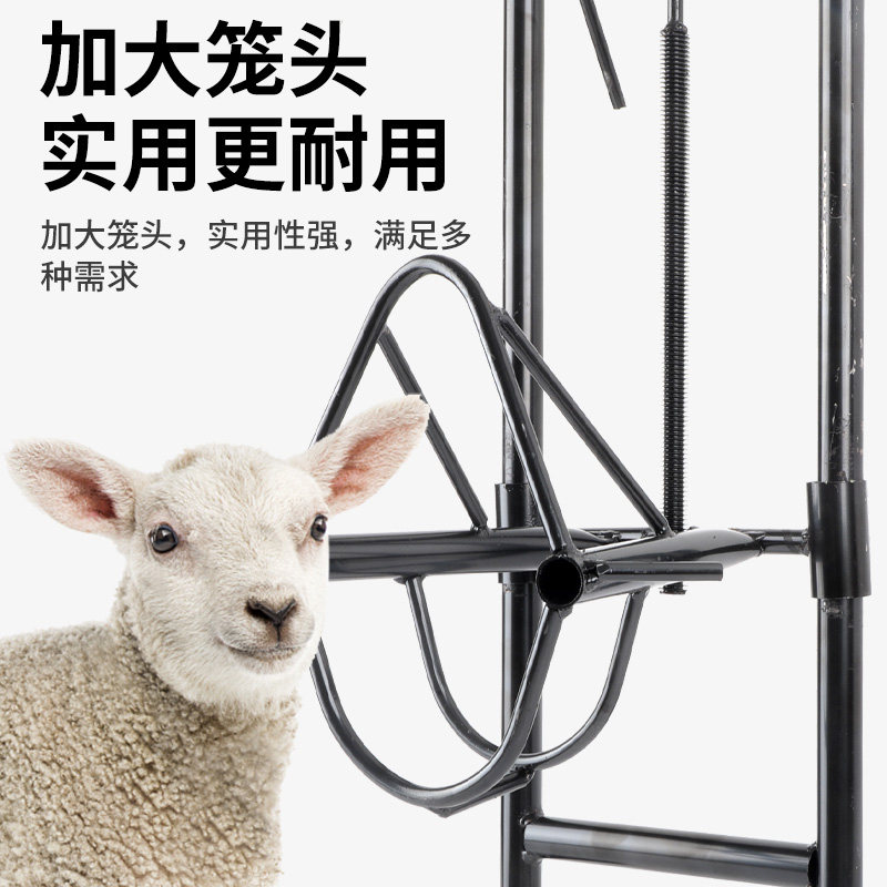 新品羊头固定架剪羊毛架子升降羊用固定器剃羊毛剪刀打针输液羊用