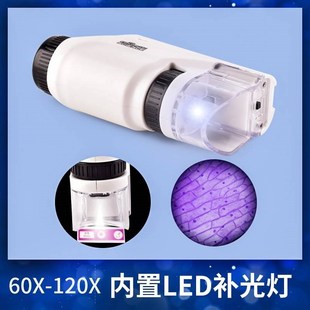 手持式便携式显微镜儿童科学光学手机小学生生物儿童款实验幼儿园