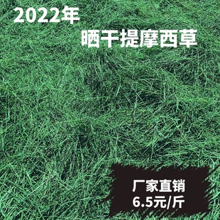 斤 免邮 优质晒干烘干提摩西草兔子龙猫荷兰猪豚鼠6.5元 2023年新品 费