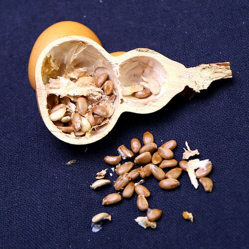 EQ4F文玩葫芦手把件带龙头紫皮小手F捻手盘玩把玩挂件摆件迷你天