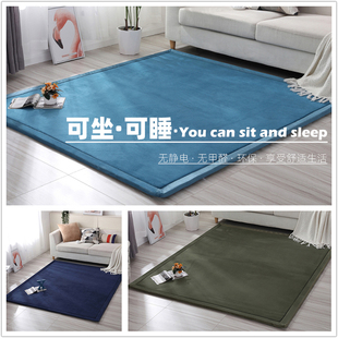 加厚地毯客厅飘窗卧室榻榻米地垫 防滑儿童爬行垫宝宝防摔床边毯