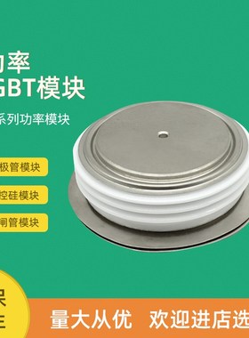 可控硅晶闸管T4021N52TOF T4021N53TOF T281N60TOF T281N65TOF