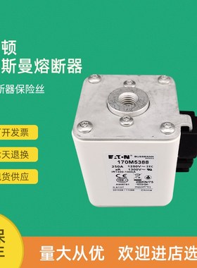 全新快速熔断器保险170M5309 170M5310 170M5311 170M5312