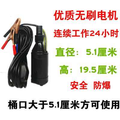 新品无刷电机抽油泵12V24V220DV电动小型潜水泵抽油机汽油泵抽油