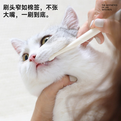 meoof 觅凹猫咪牙膏牙刷套装软化牙结石K除口臭宠物狗狗牙膏可食