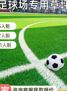 仿真草坪人造假i草皮人工地毯足球场室外假草垫免填充塑胶跑道材