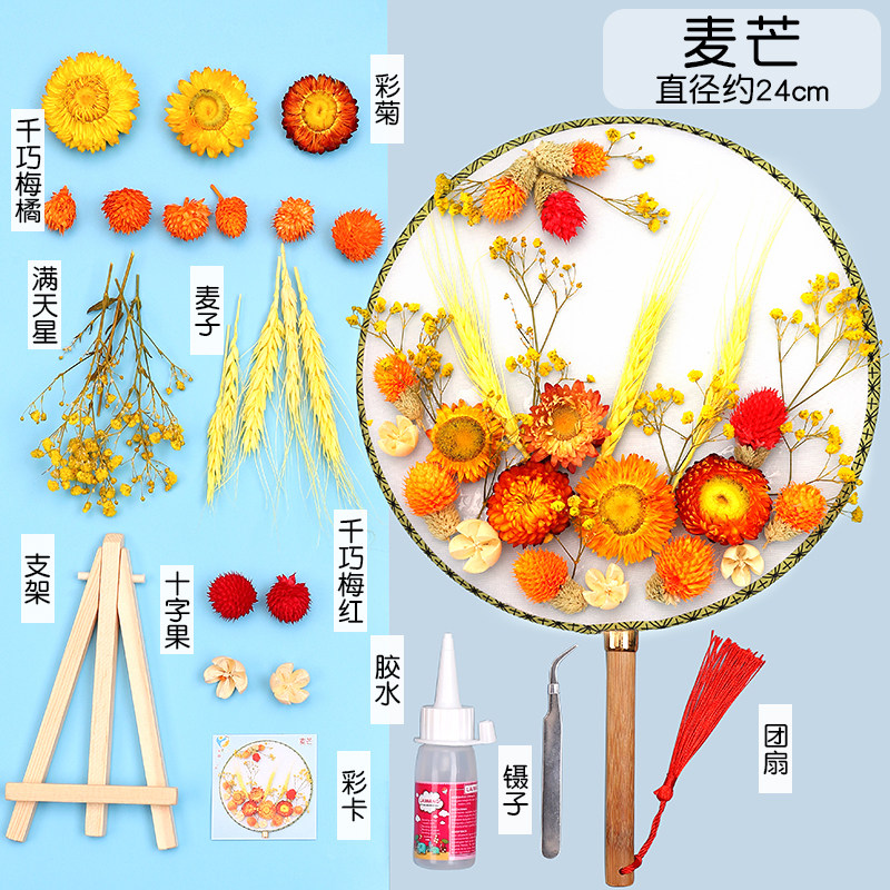 速发中国风古风团扇干花diy圆扇材料包儿童手工制作永生花礼物
