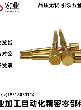 探针NP45-A-B-D-E-G NR45 TP604 NP604-A NR60 NP60SF-G NP60S