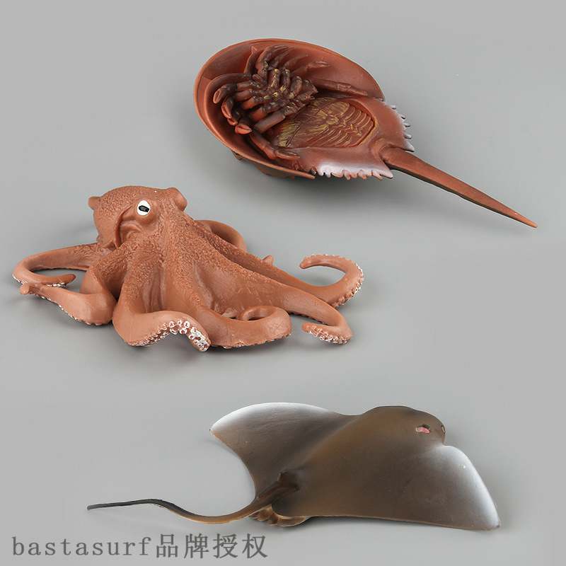 速发Shell fish simulation marine biological model Octopus tu