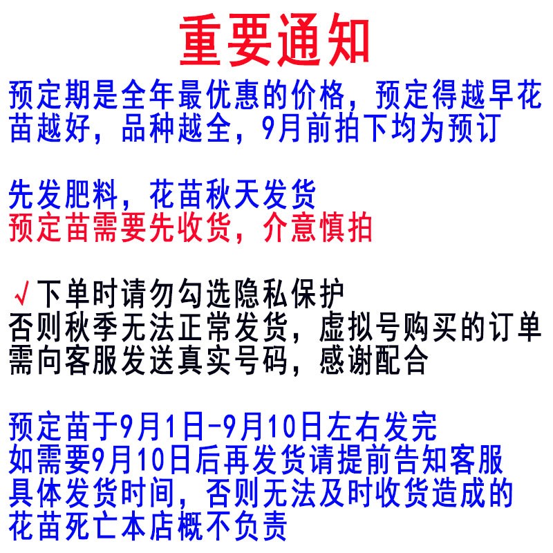绿幕隐玉牡丹花树苗观赏盆栽红喜庆重瓣稀有绿色过年庭院阳台花卉