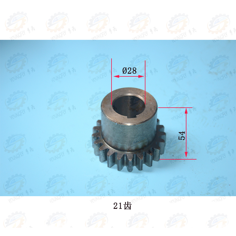 丹东金川 宁夏大河Z5140 Z150 Z5163立式钻床电机齿轮 联轴器总成