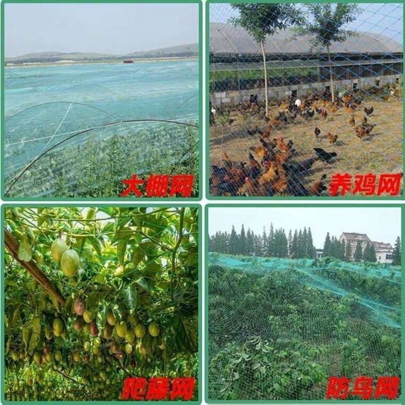 百香果爬藤网攀爬网瓜蒌葡萄丝瓜吊瓜豆角网黄瓜种植网菊花网搭C