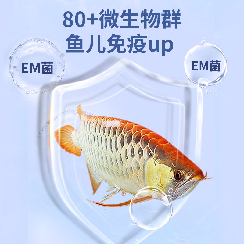 鱼缸硝化细菌锦鲤鱼专用水质净化养E鱼消化菌液体浓缩活菌水质稳