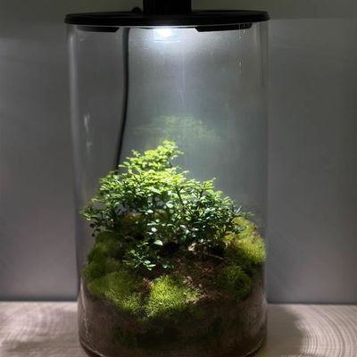 苔藓微景观生态瓶闷养全光谱灯瓶盖灯植物瓶爬宠瓶 绿植鱼缸斗鱼