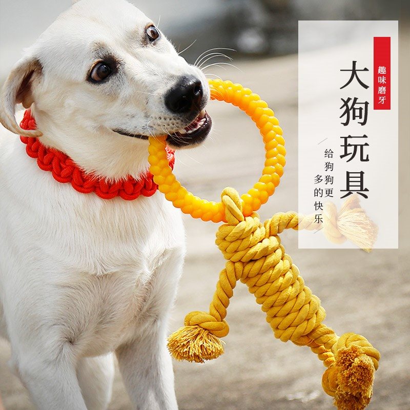 Pet molar resistaot rcotton rope ball gnlden labrador bite