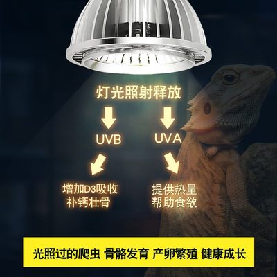 乌龟补钙三合e一晒背灯UVA+UVB全光谱led太阳灯爬虫照背灯龟缸灯