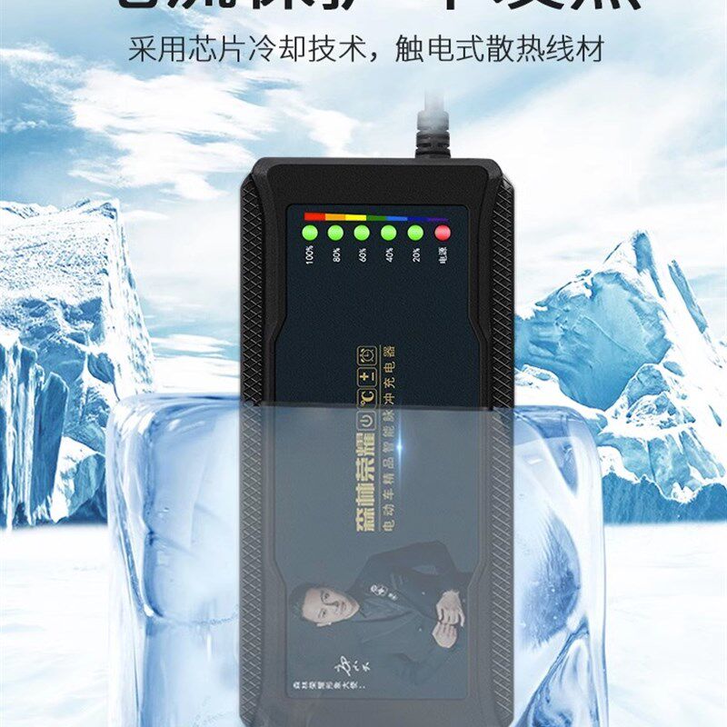 森林荣耀自动断电电动车充电器48v12ah60v20ah72v32a厂家直销