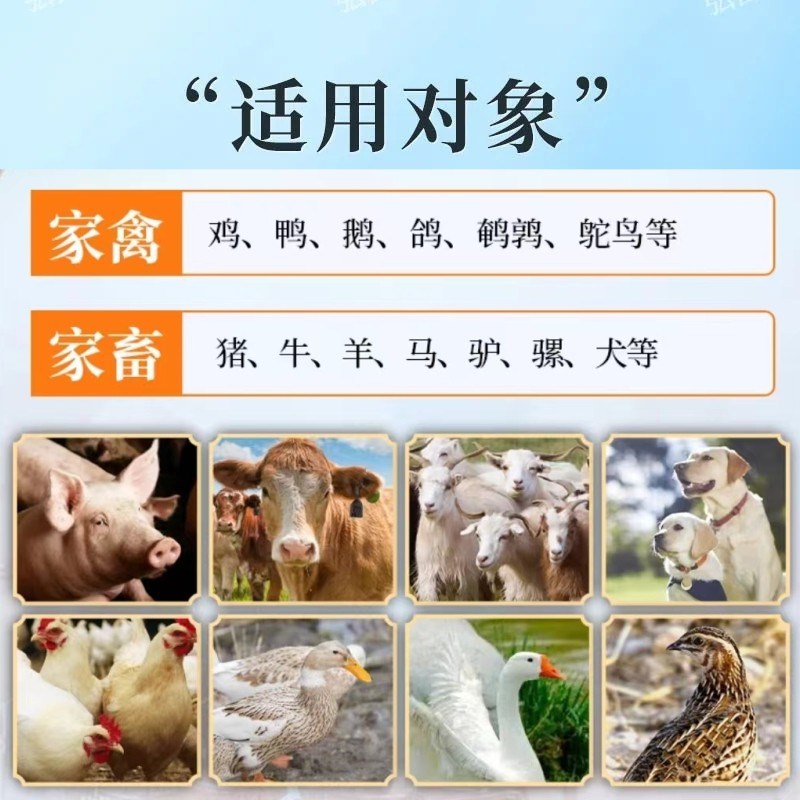 肠宝活性益生菌复合益生w菌鸡鸭鹅猪牛羊兔狗猫饲料添加剂