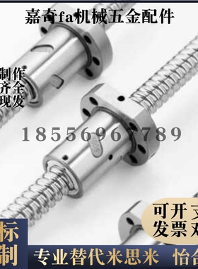 滚珠丝杠BSWE BTWP BTWE1610 2005 2010 2505 2510 2525 丝杆螺母